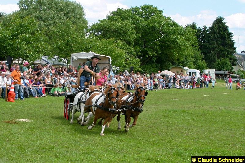 Ponytag Bosbach 2012-065.jpg